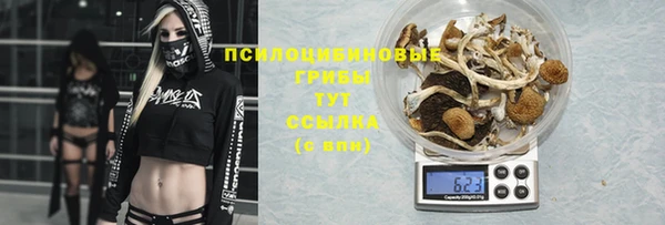 гашик Красноперекопск
