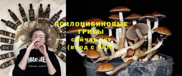 амф Краснослободск